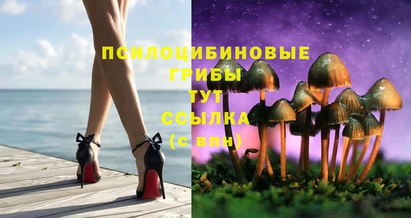 ECSTASY Баксан