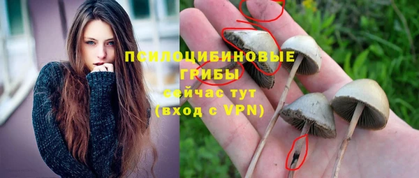 дурь Балабаново