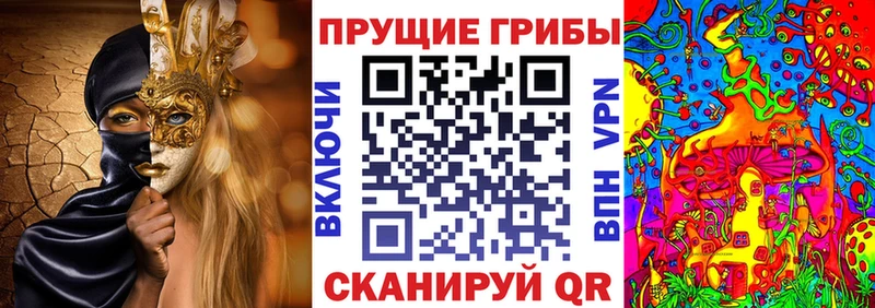 Псилоцибиновые грибы Psilocybine cubensis  Купить  Приозерск 