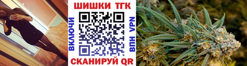 Купить  Приозерск  Канабис сатива 